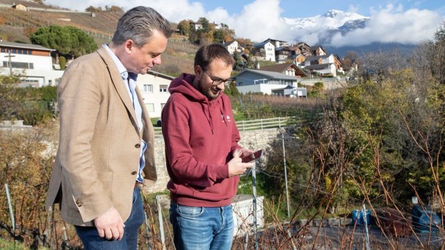 Circuits courts: depuis Crans-Montana, MagicTomato se lance à la conquête du Valais